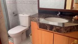 Carissa Park Condominium (D17), Condominium #553898921